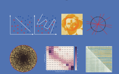 The Data Science Design Manual