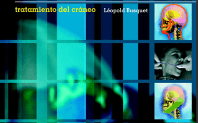 Las cadenas musculares – Tomo V