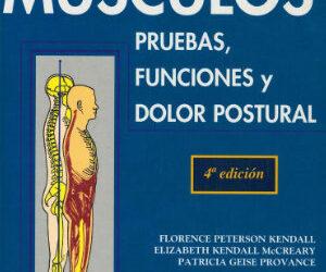Músculos – Pruebas, funciones y dolor postural